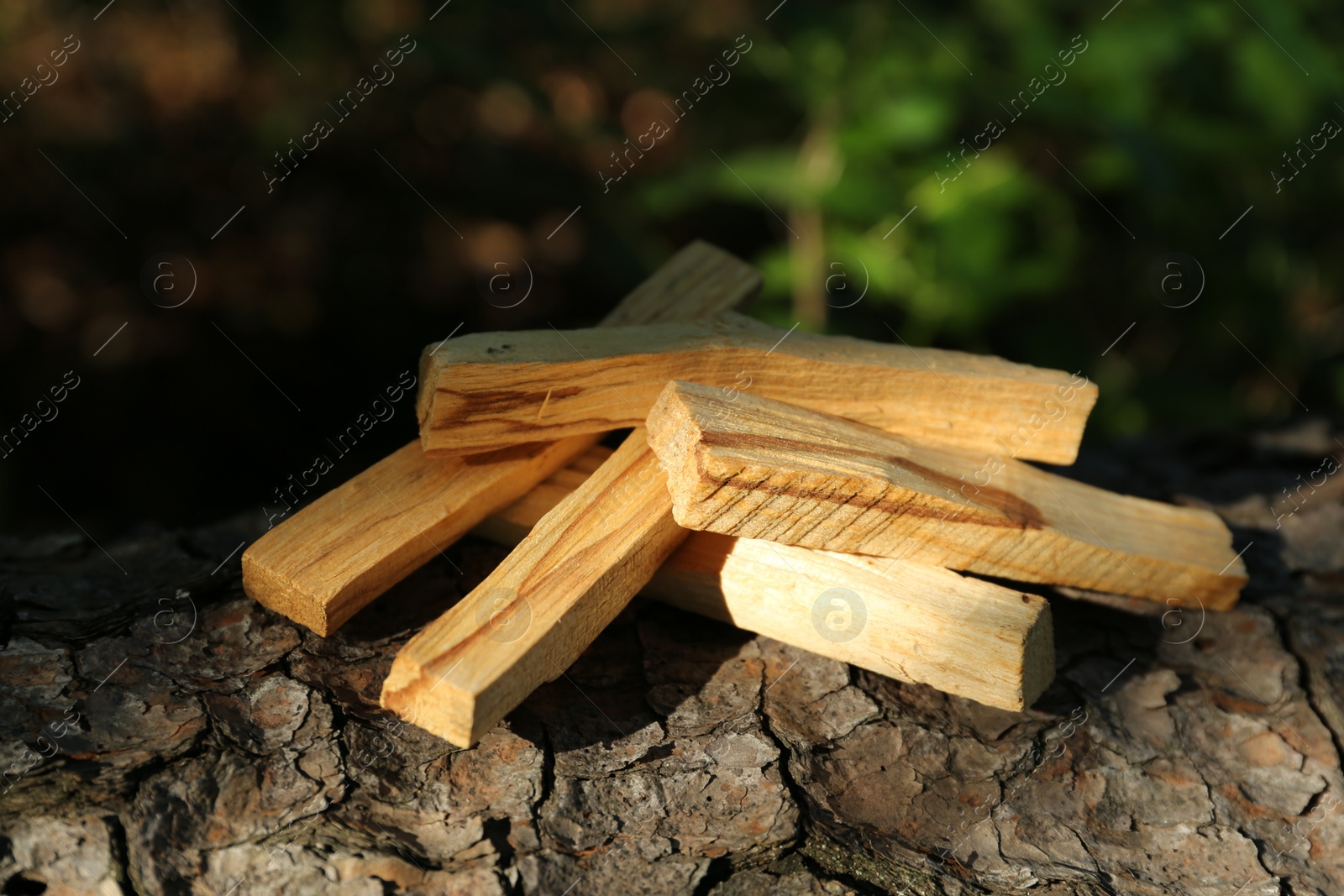 Photo of Palo santo sticks on tree bark outdoors