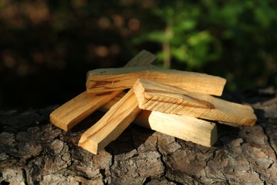 Photo of Palo santo sticks on tree bark outdoors