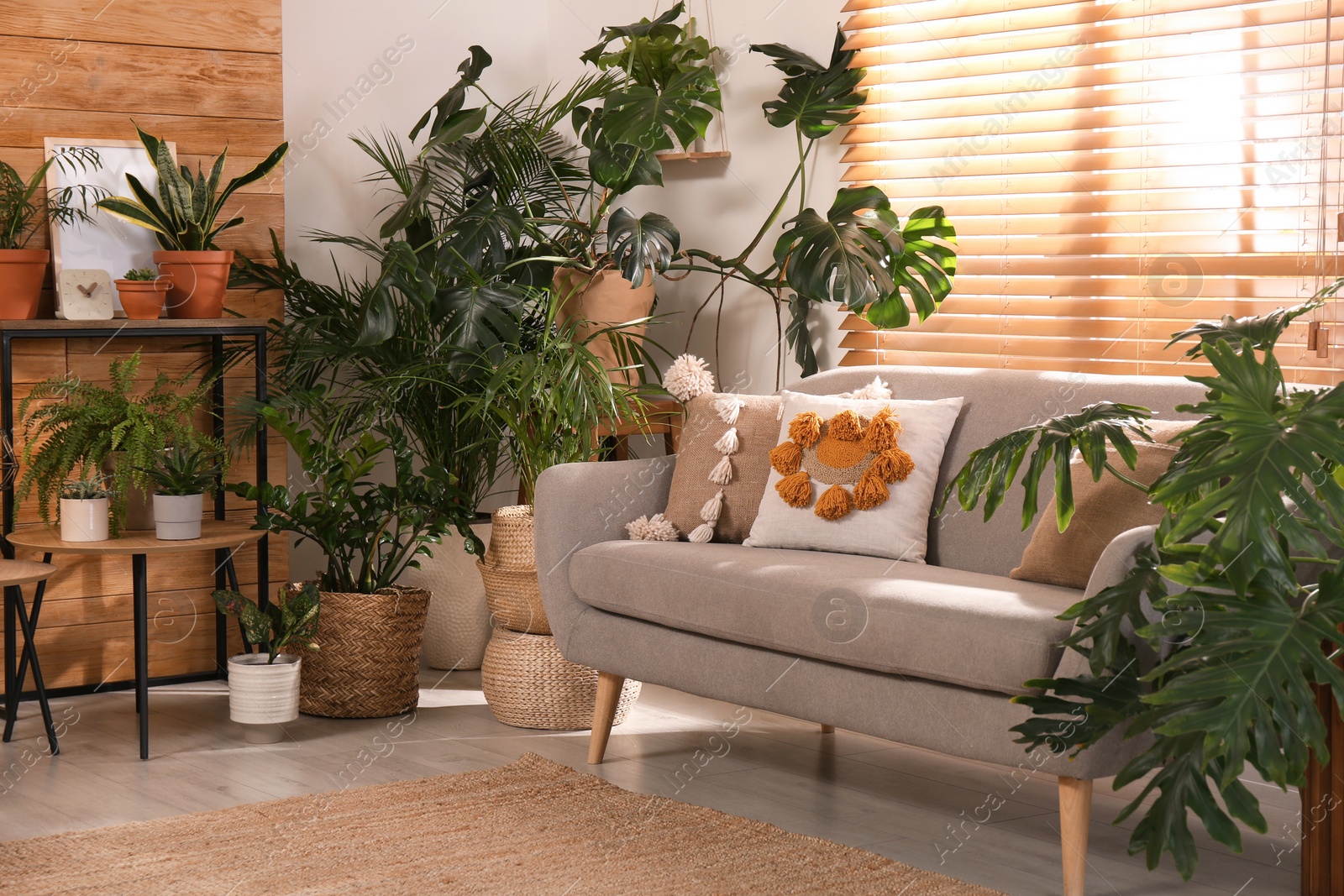 Photo of Stylish living room with beautiful plants. Interior design