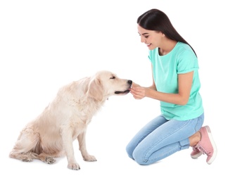 Young woman and her Golden Retriever dog on white background