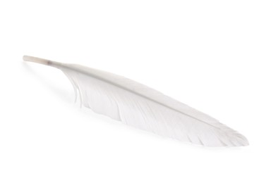 Photo of One fluffy beautiful feather isolated on white