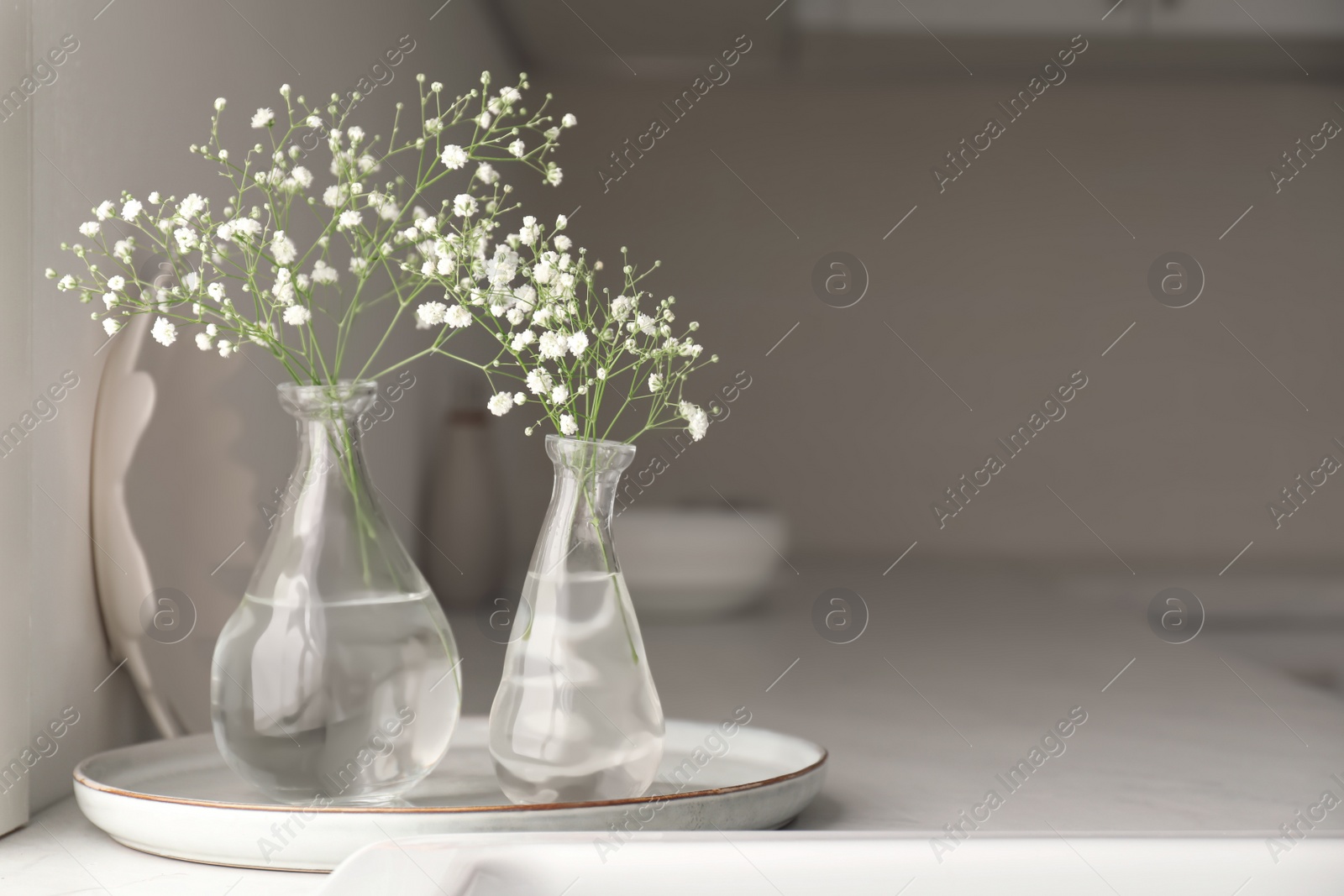 Photo of Vases with gypsophila flowers on countertop in kitchen, space for text. Interior design