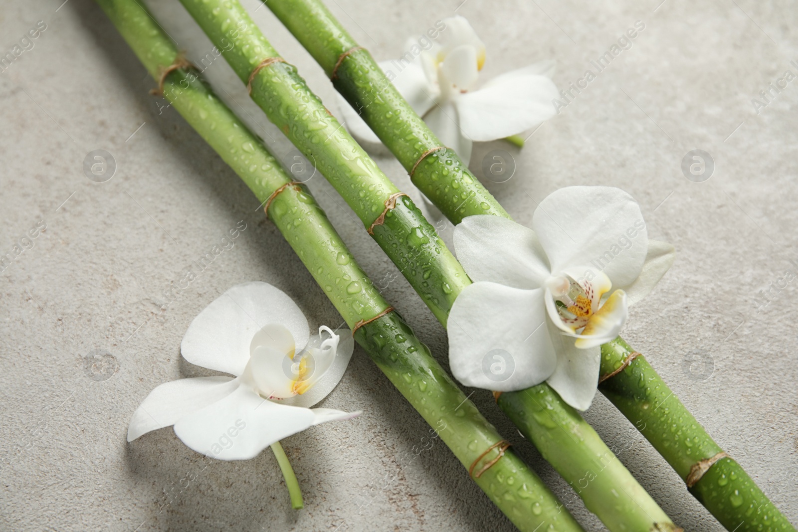 Photo of Bamboo branches with flowers on gray background