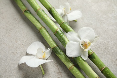 Photo of Bamboo branches with flowers on gray background