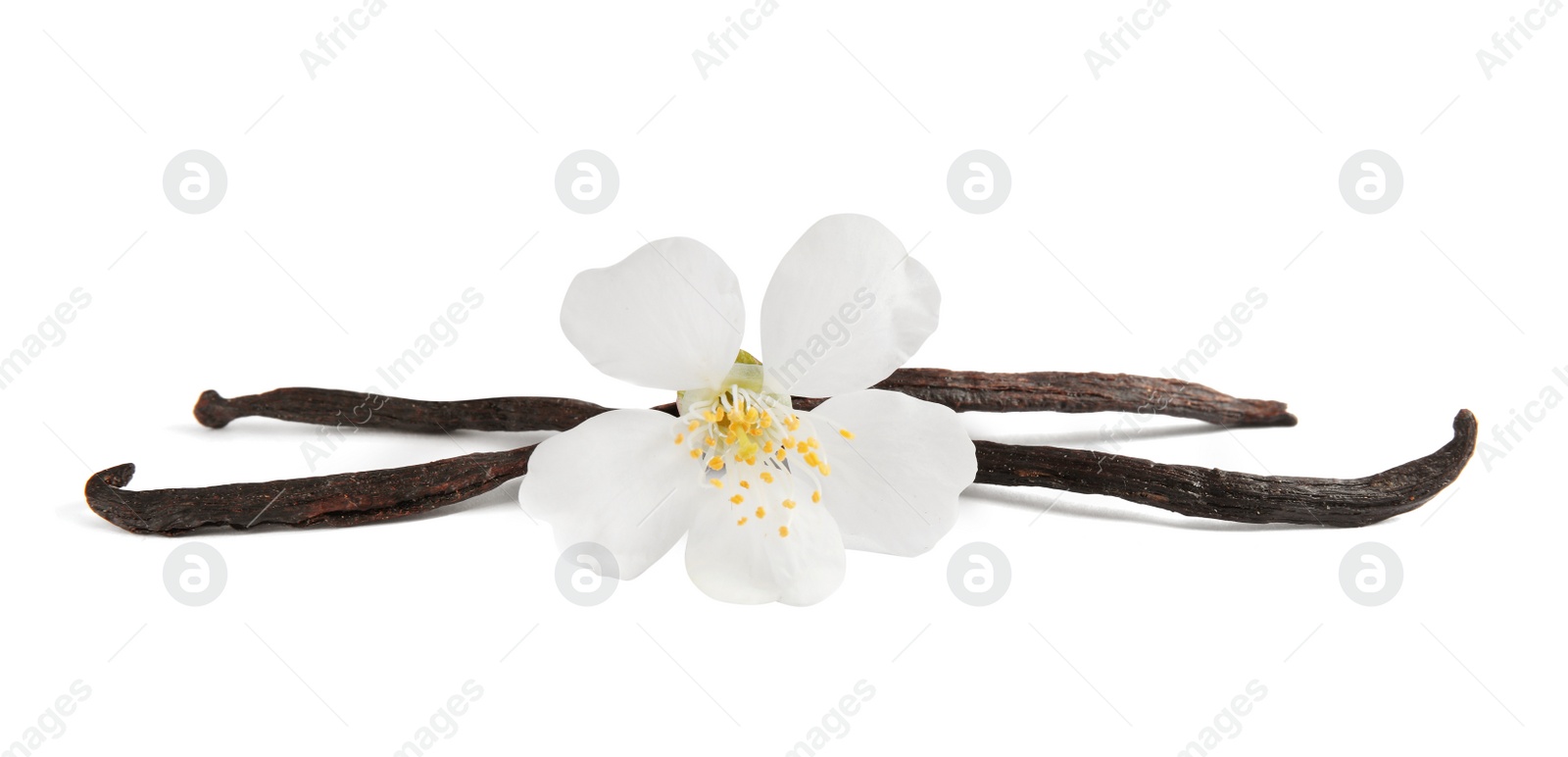 Photo of Aromatic vanilla sticks and flower on white background