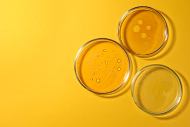 Photo of Petri dishes with liquids on orange background, flat lay. Space for text
