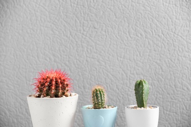 Beautiful cactuses in pots on color background