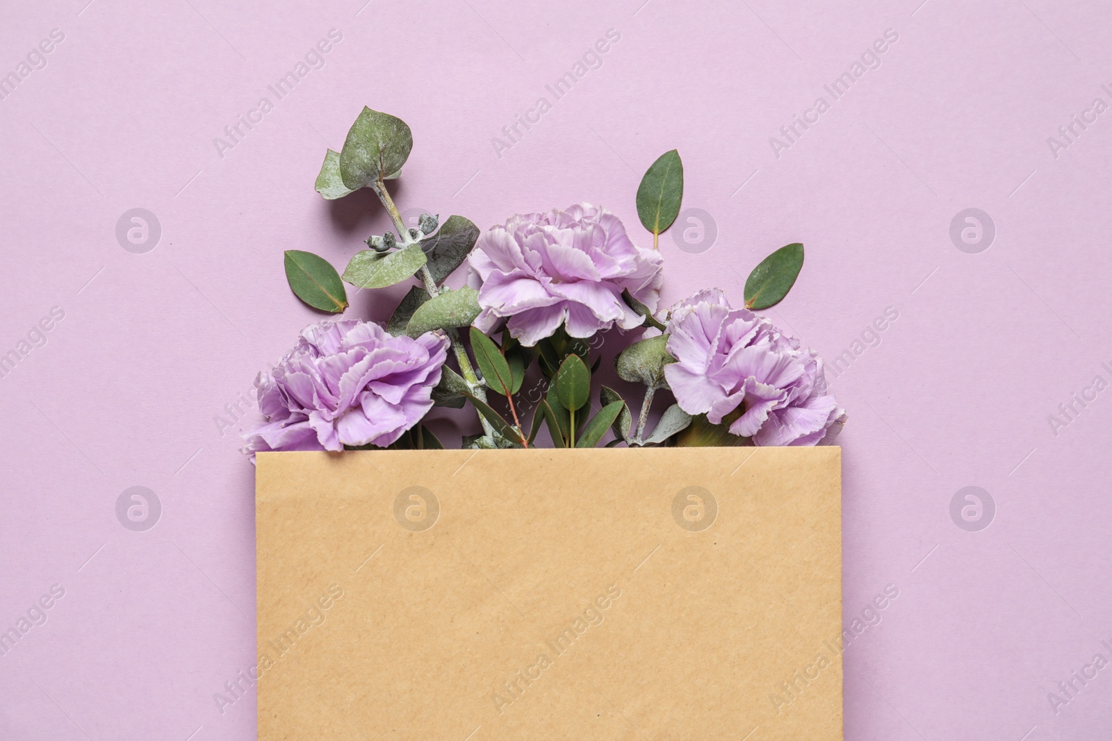 Photo of Flat lay composition with beautiful blooming flowers on color background