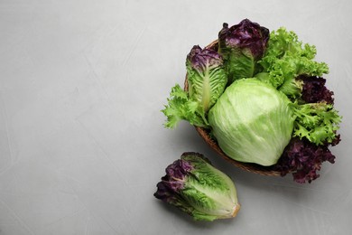 Different sorts of lettuce on light grey table, flat lay. Space for text