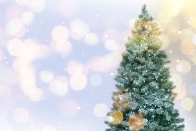 Image of Beautiful Christmas tree on light background, space for text. Bokeh effect