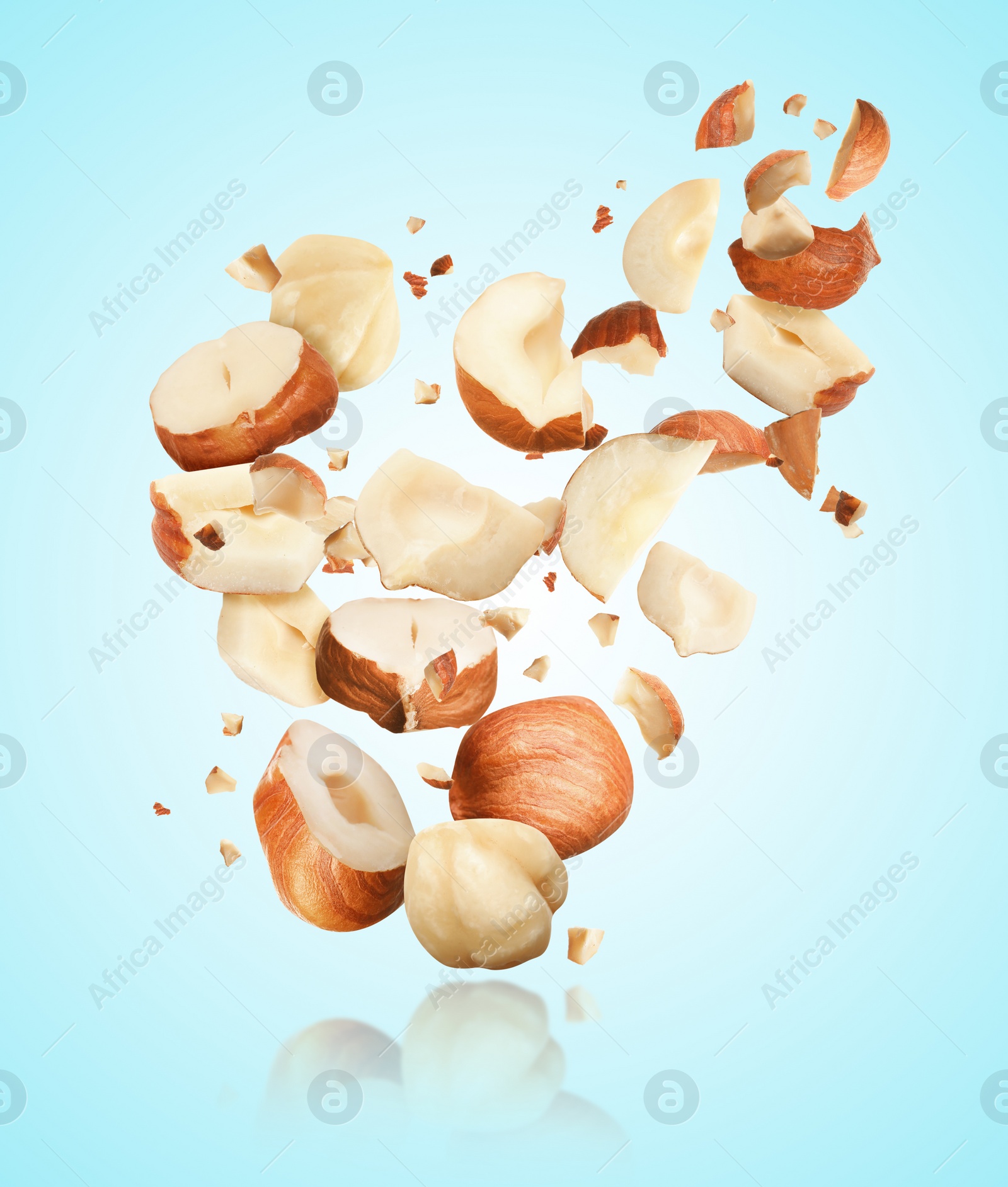 Pieces of tasty hazelnuts falling on light blue background Image of Pieces of tasty hazelnuts falling on light blue background