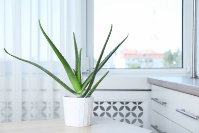 Photo of Potted aloe vera plant and space for text on blurred background