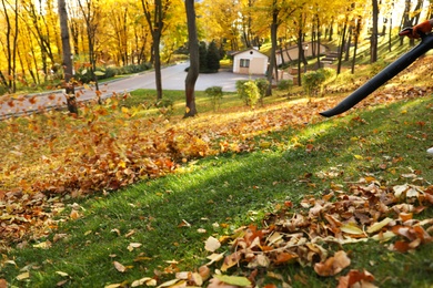 Worker removing autumn leaves with blower from lawn in park