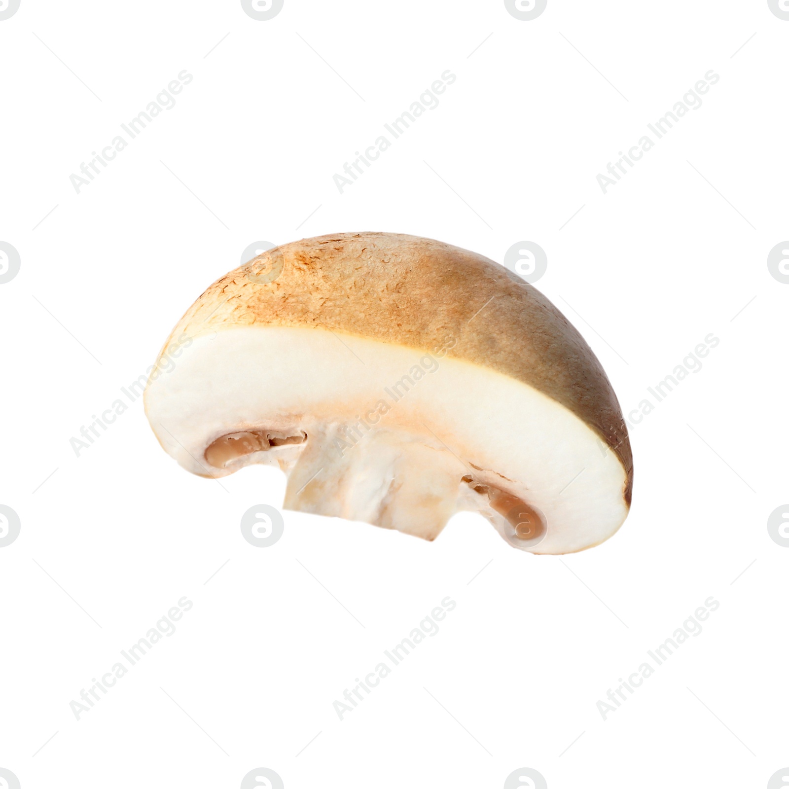 Photo of Piece of fresh mushroom on white background