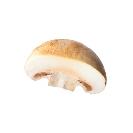 Piece of fresh mushroom on white background