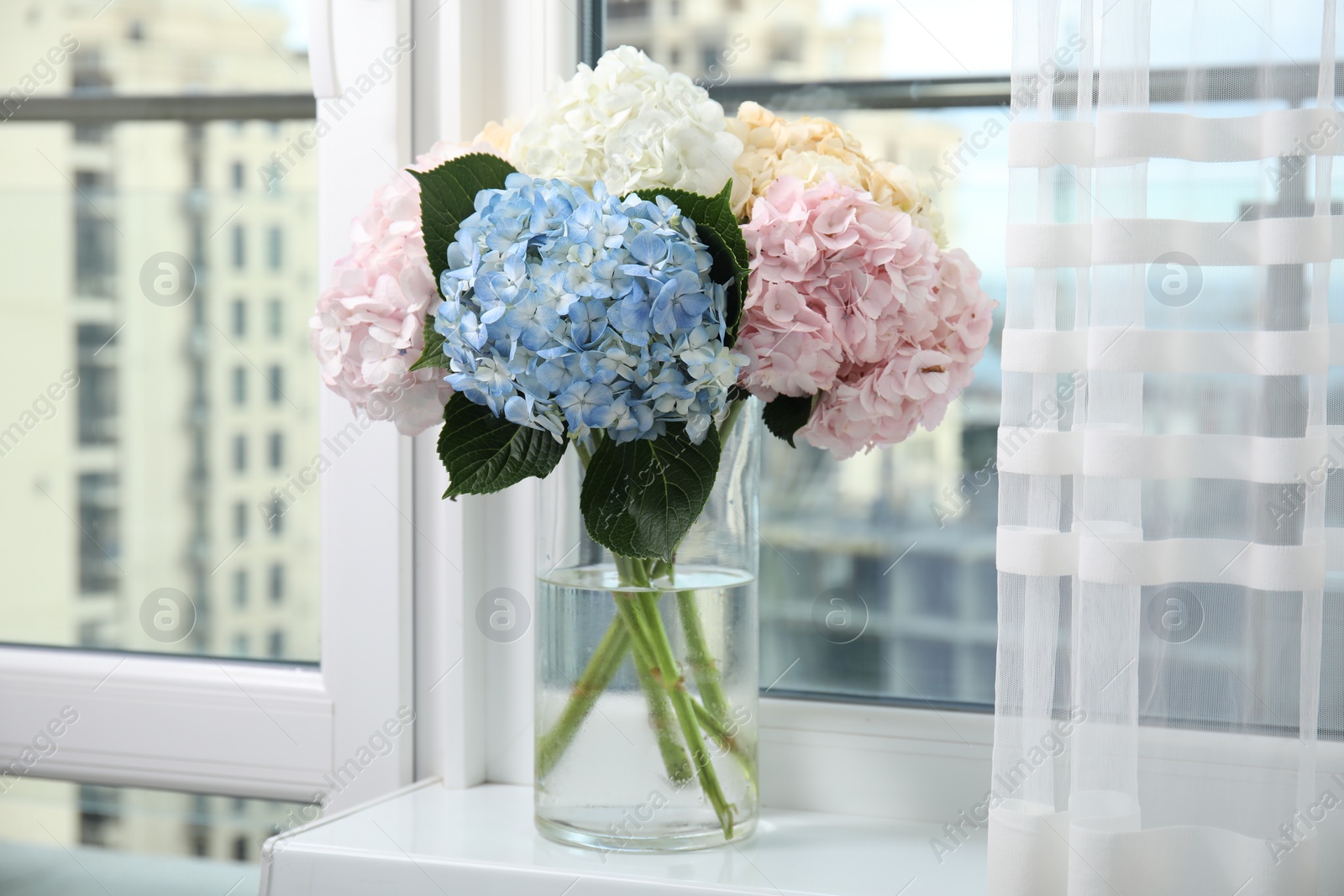 Photo of Beautiful hydrangea flowers in vase on windowsill indoors