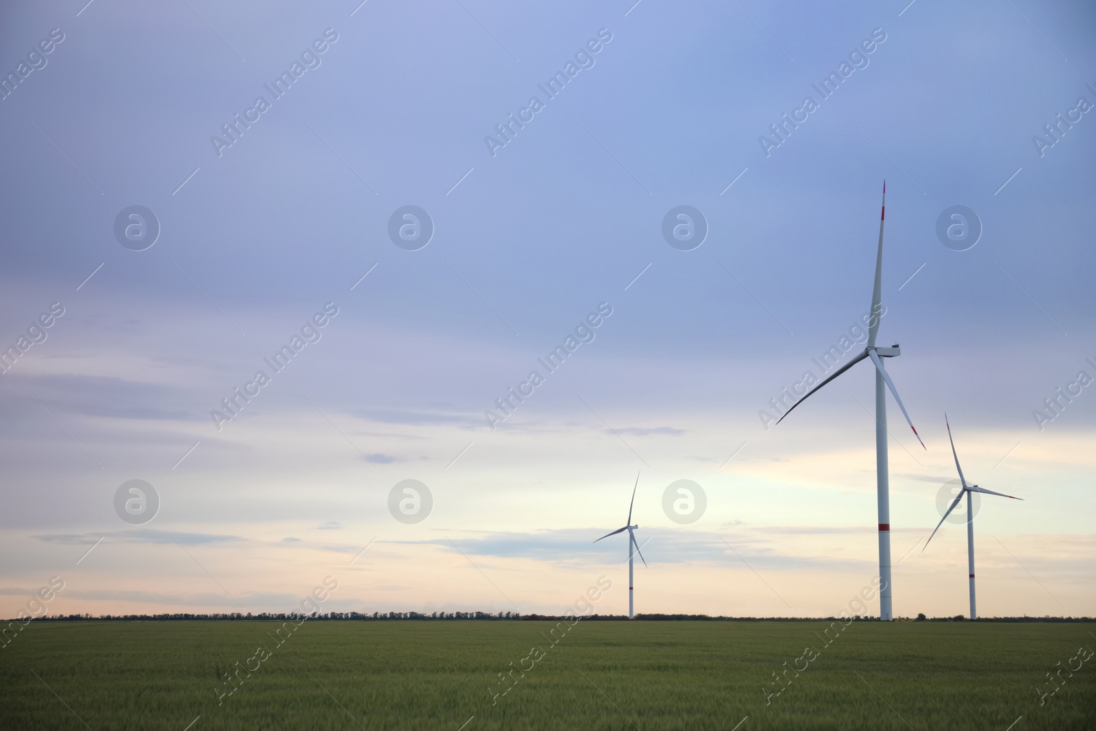 Photo of Beautiful view of field with wind turbines in evening. Alternative energy source