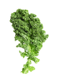 Fresh green kale leaf isolated on white