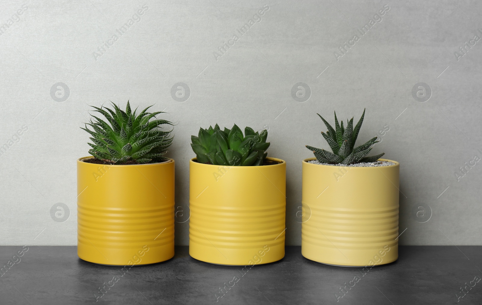 Photo of Houseplants in yellow tin cans on grey stone table. Space for text
