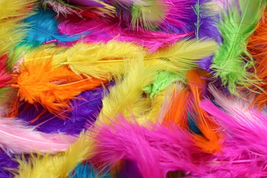 Photo of Many beautiful bright feathers as background, top view