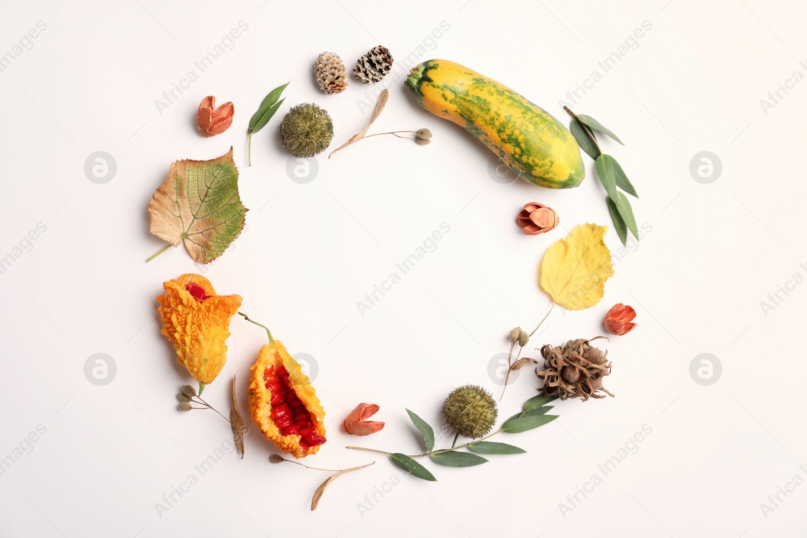 Photo of Dried flowers, leaves and zucchini arranged in shape of wreath on white background, flat lay with space for text. Autumnal aesthetic