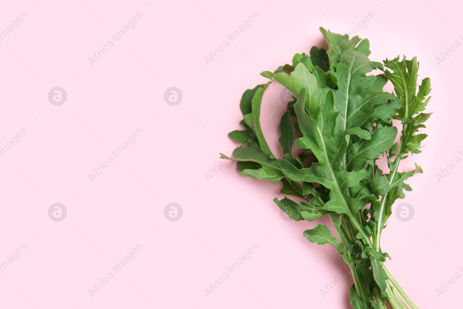 Photo of Fresh arugula on light pink background, flat lay. Space for text