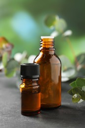 Photo of Bottles of eucalyptus essential oil and plant branches on grey table