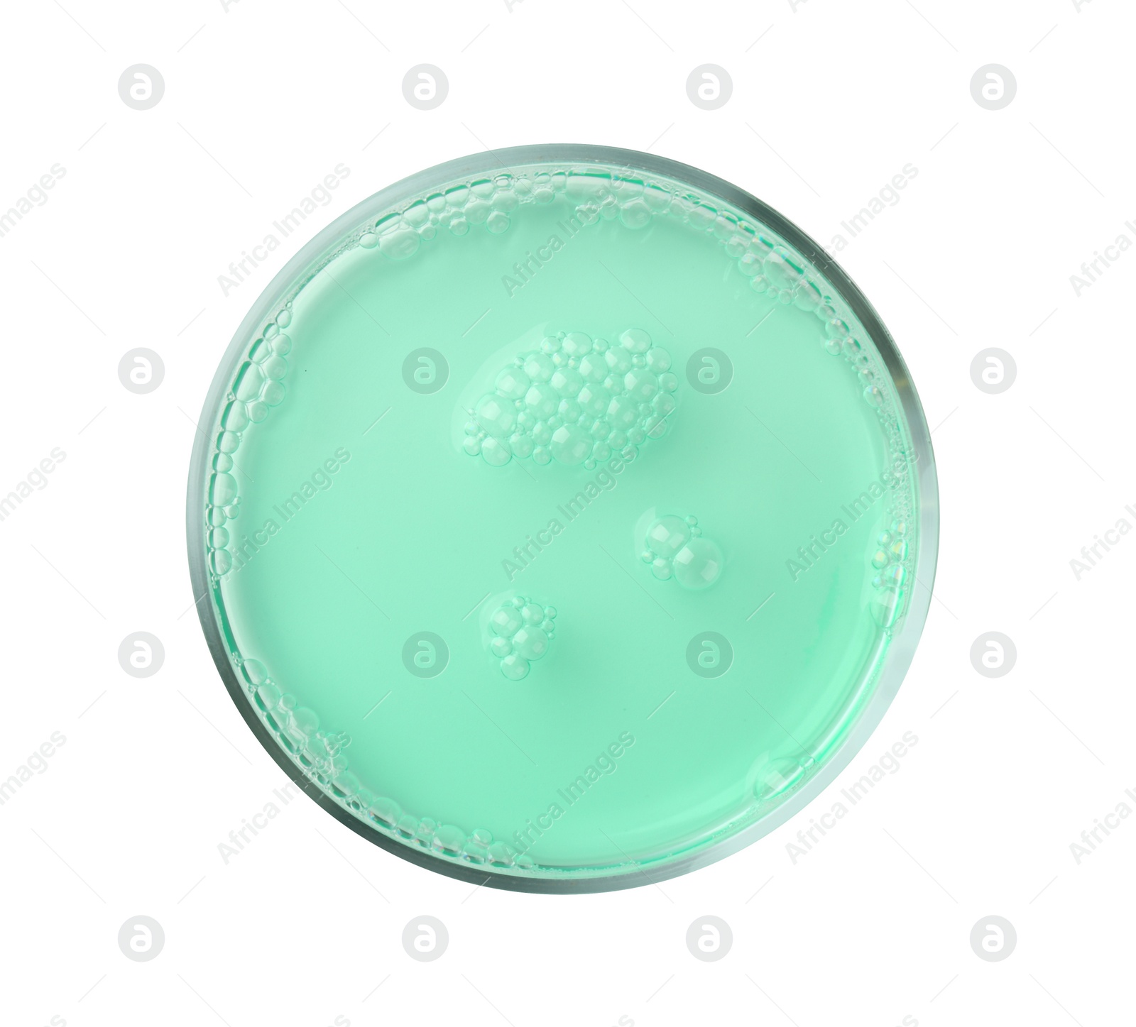 Photo of Petri dish with turquoise liquid sample on white background, top view