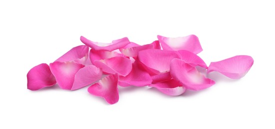 Photo of Many pink rose petals on white background