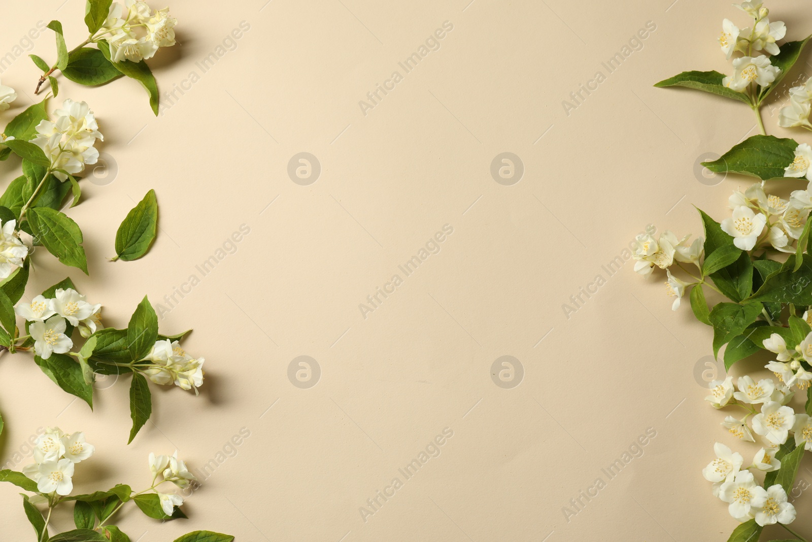 Photo of Aromatic jasmine flowers and green leaves on beige background, flat lay. Space for text