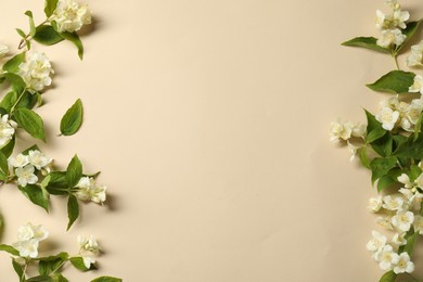 Aromatic jasmine flowers and green leaves on beige background, flat lay. Space for text