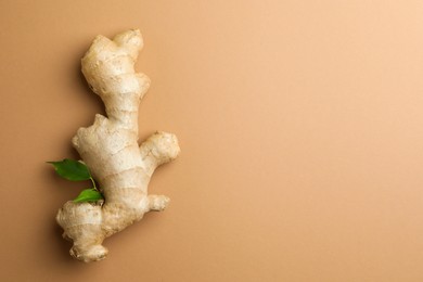 Photo of Fresh ginger with green leaves on light pale brown background, top view. Space for text