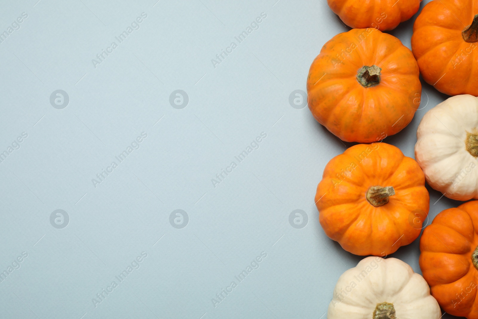 Photo of Different ripe pumpkins on light blue background, flat lay. Space for text