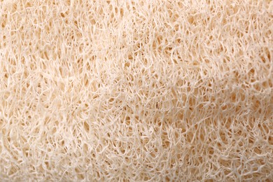 Loofah sponge as background, top view. Personal hygiene product