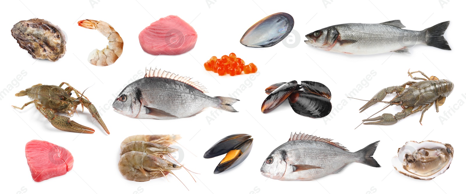 Image of Dorado fish and other seafood isolated on white, set