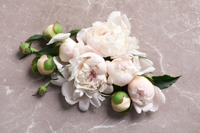 Beautiful blooming peony flowers on grey background, top view