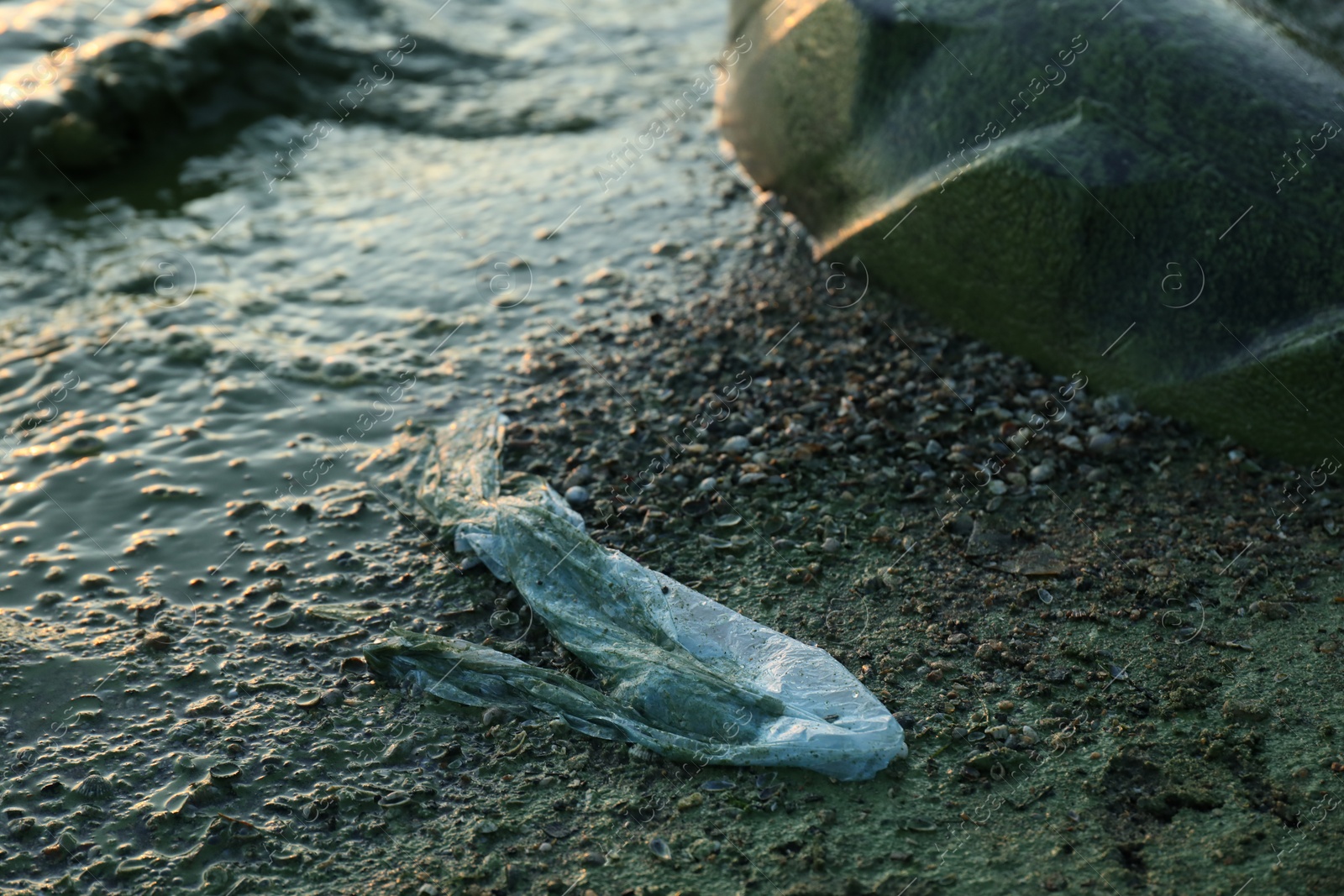 Photo of Used plastic bag near water at beach. Environment pollution