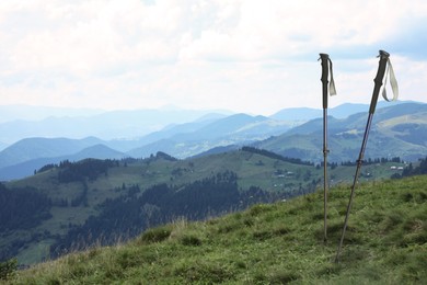 Image of Trekking poles on green grass in mountains 
