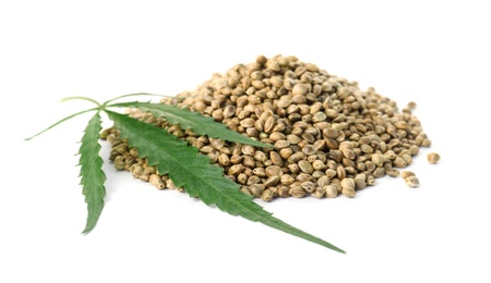 Photo of Pile of hemp seeds with green leaf on white background