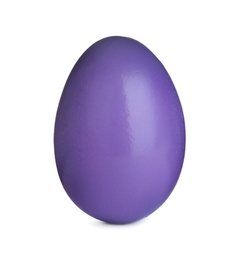 Painted purple egg isolated on white. Happy Easter