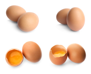 Image of Set of fresh eggs on white background