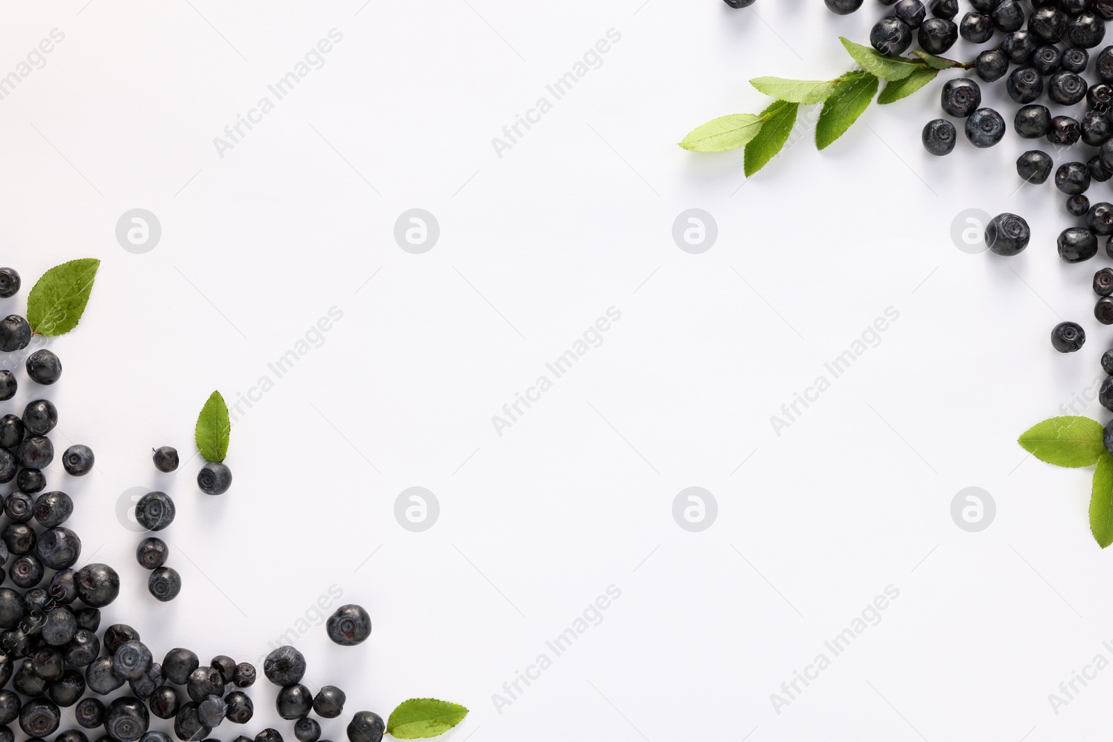 Photo of Ripe bilberries and sprig with leaves on white background, flat lay. Space for text