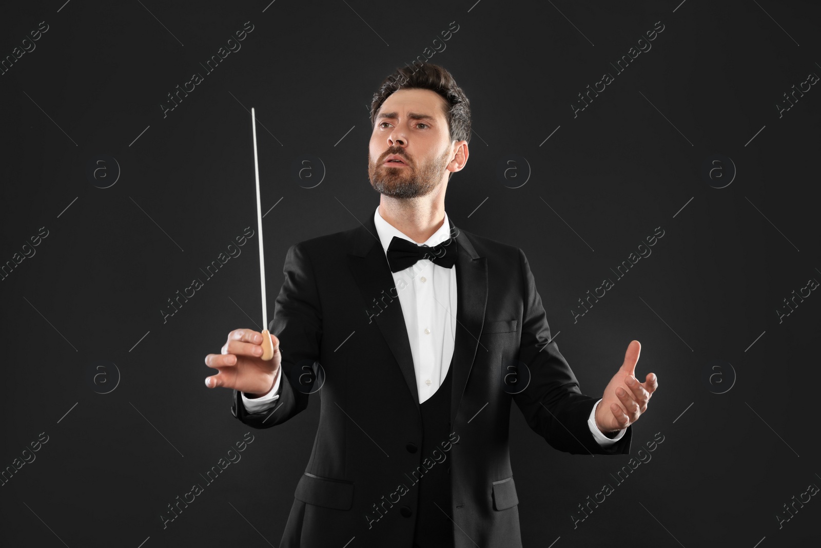 Photo of Professional conductor with baton on black background