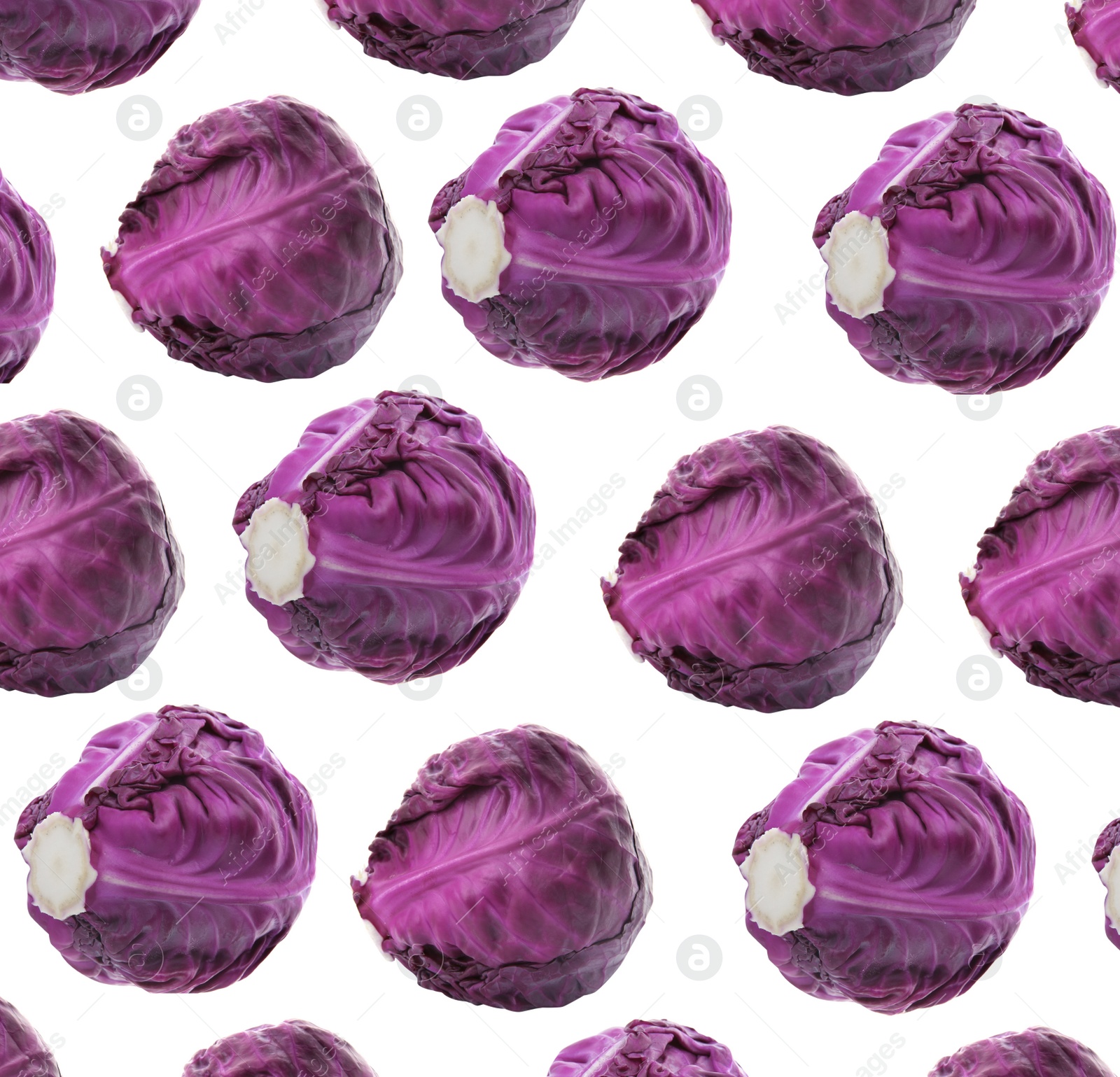 Image of Whole red cabbages on white background. Pattern design