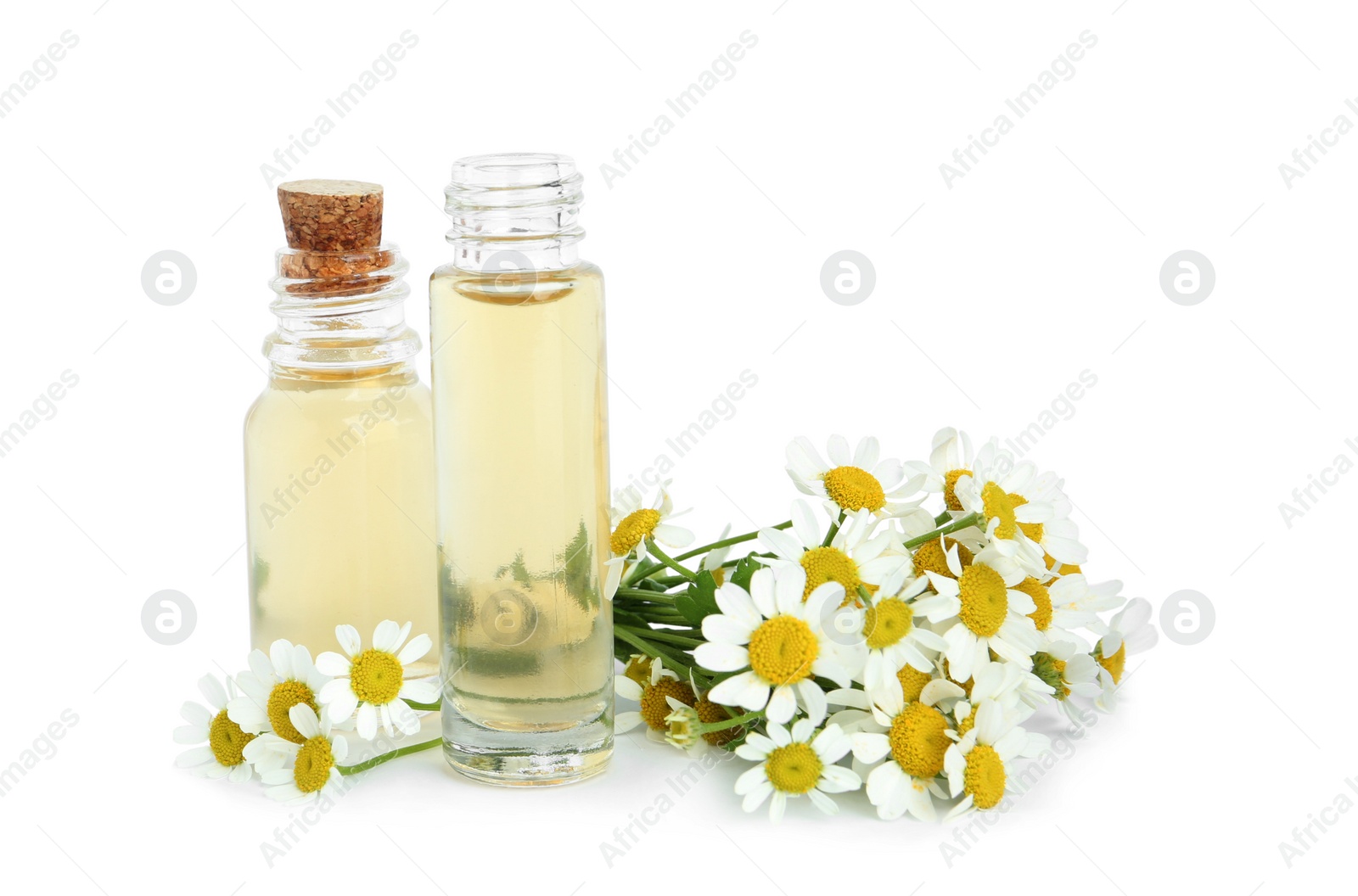 Photo of Bottles of essential oil and fresh chamomiles isolated on white
