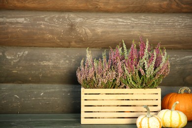 Photo of Beautiful heather flowers in crate and pumpkins on table near wooden wall, space for text