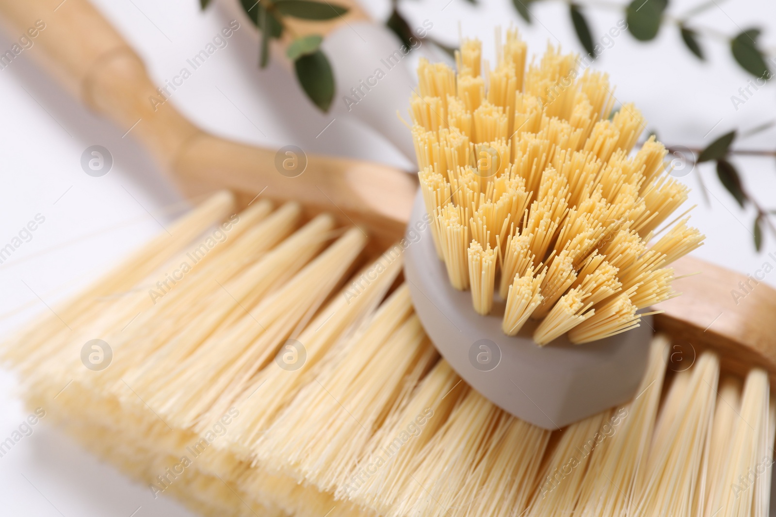 Photo of Cleaning brushes and eucalyptus leaves on white background, closeup