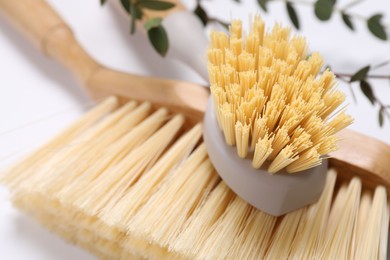 Photo of Cleaning brushes and eucalyptus leaves on white background, closeup