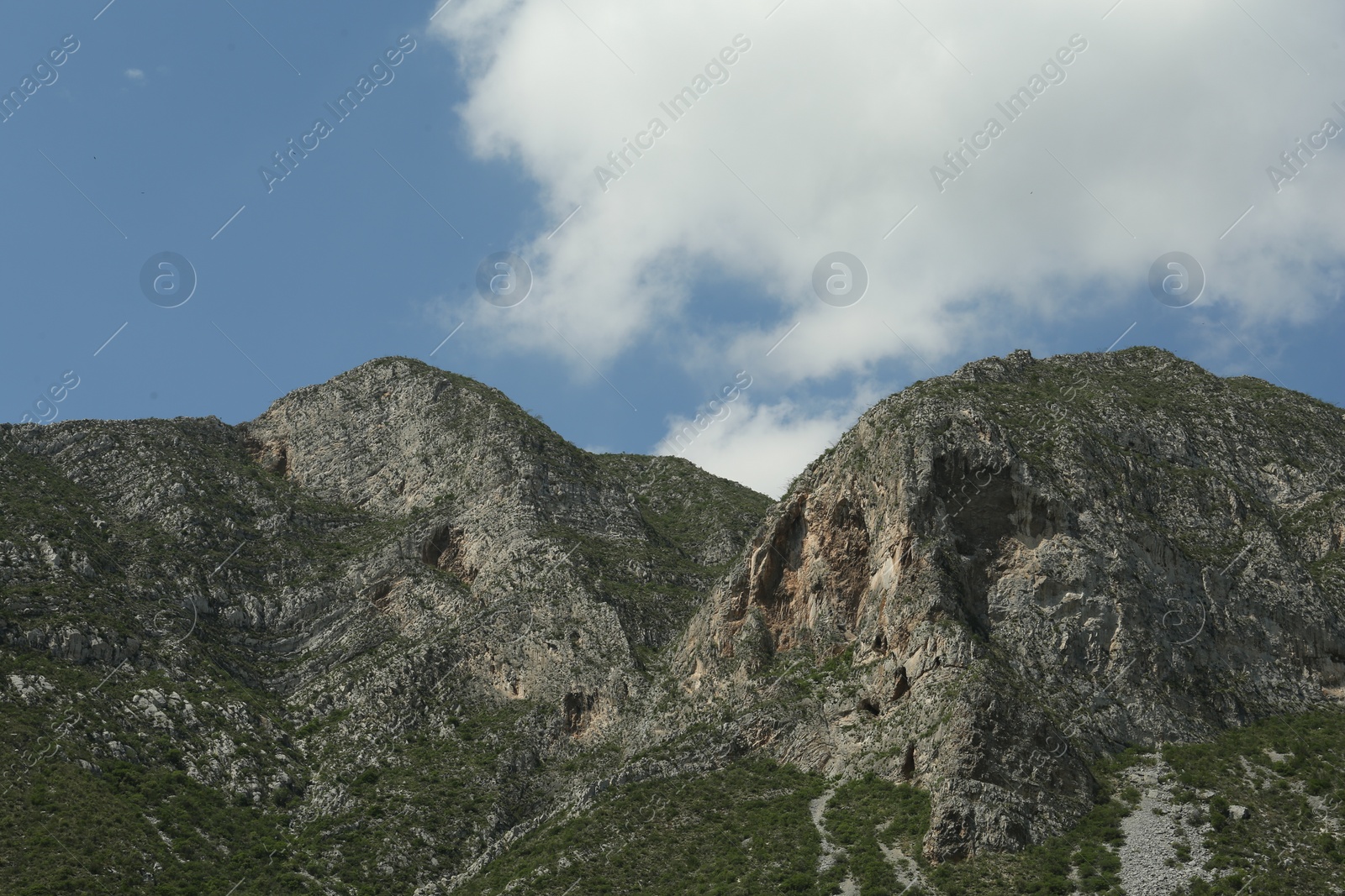 Photo of Picturesque view of beautiful mountains and plants under cloudy sky