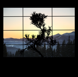 Image of Silhouette of Japanese bonsai plant and mountain landscape on background. Creating zen atmosphere at home